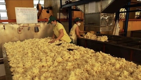 Nhiều dư địa cho xuất khẩu cao su sang Hoa Kỳ